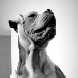 Meet your Posher, Mendez